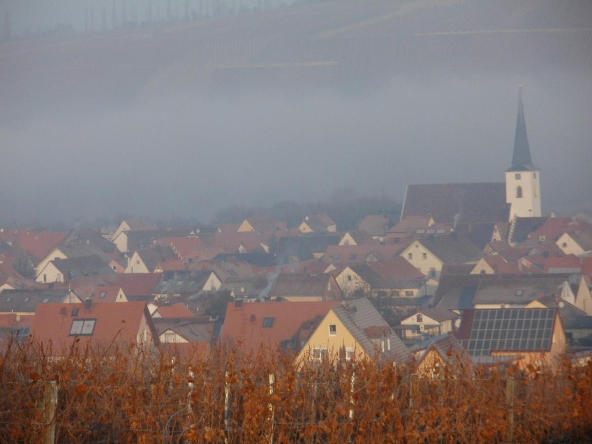 Gaestehof - Weinbau Saeger Nordheim am Main ภายนอก รูปภาพ