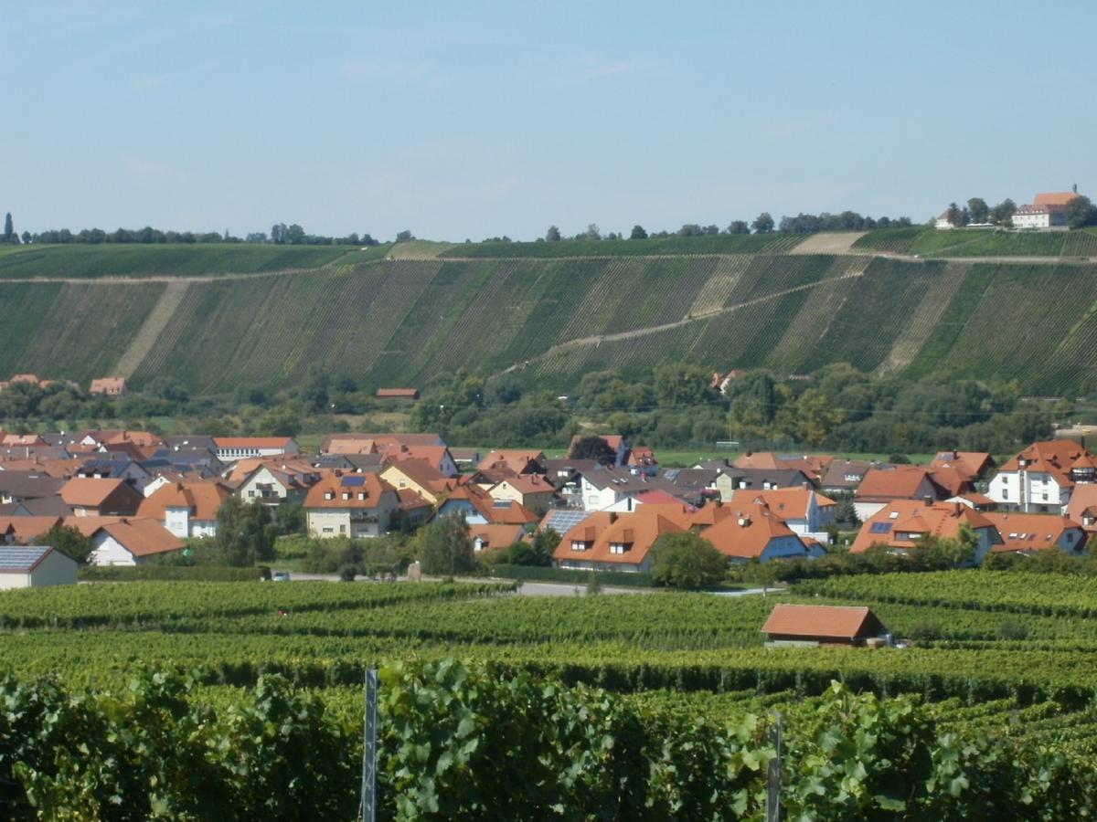 Gaestehof - Weinbau Saeger Nordheim am Main ภายนอก รูปภาพ